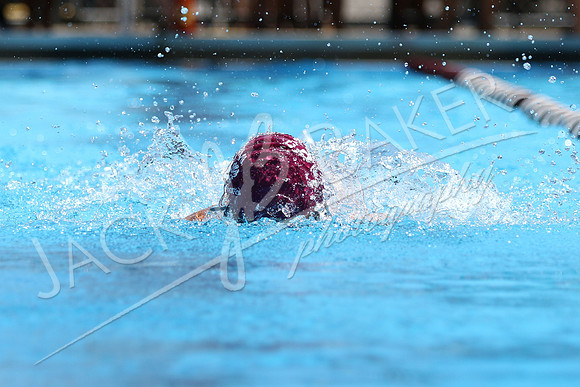 IMG_2075 - ©JACKBAKERPHOTOS
