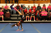 IMG_0078 - ©JACKBAKERPHOTOS