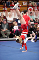 Handstand Hysteria