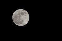 IMG_1042