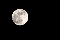 IMG_1042-2