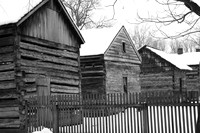 IMG_7480
