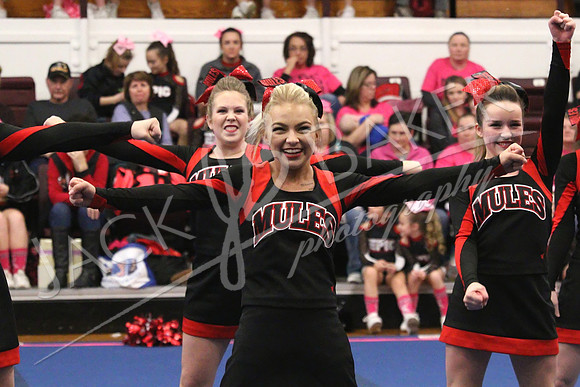 IMG_3526 - ©JACKBAKERPHOTOS
