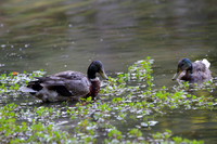 IMG_1681