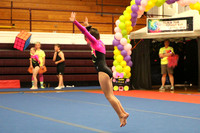 Competitive Tumbling/Tramp/Double Mini