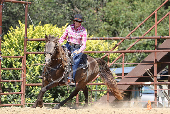 IMG_7663 - ©JACKBAKERPHOTOS