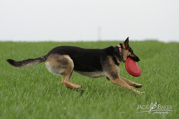 IMG_3213©JACKBAKERPHOTOS