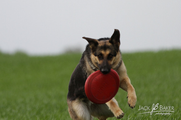 IMG_3422©JACKBAKERPHOTOS