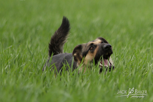 IMG_3227©JACKBAKERPHOTOS