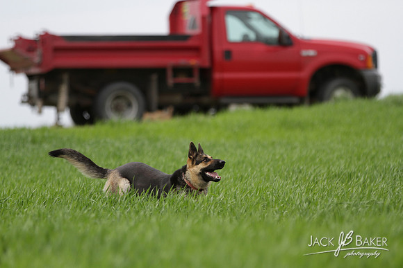 IMG_3416©JACKBAKERPHOTOS