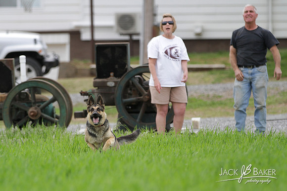 IMG_3132©JACKBAKERPHOTOS