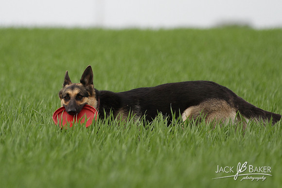 IMG_3278©JACKBAKERPHOTOS