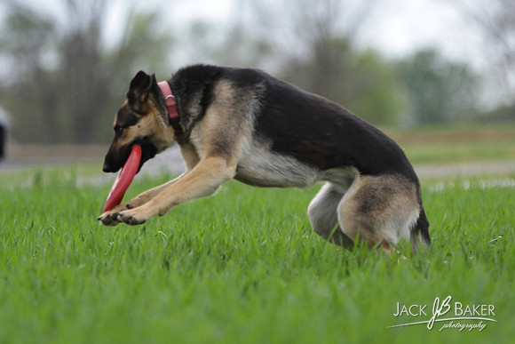 IMG_3157©JACKBAKERPHOTOS