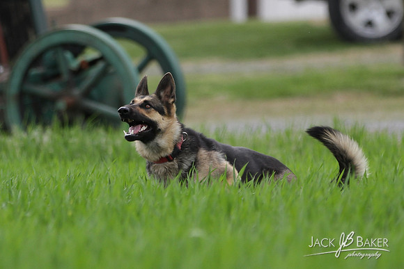 IMG_3150©JACKBAKERPHOTOS