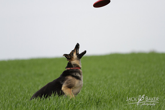 IMG_3384©JACKBAKERPHOTOS