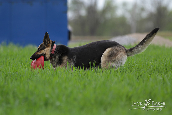 IMG_3158©JACKBAKERPHOTOS