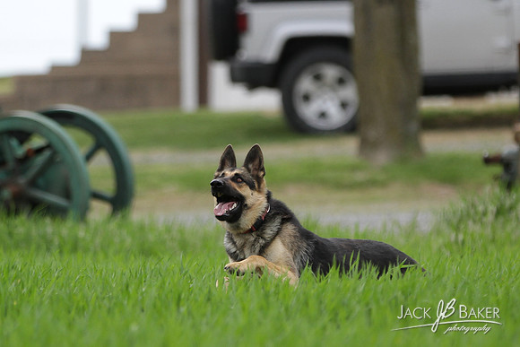 IMG_3138©JACKBAKERPHOTOS