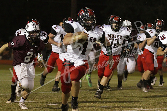 IMG_4276-©JACKBAKERPHOTOS